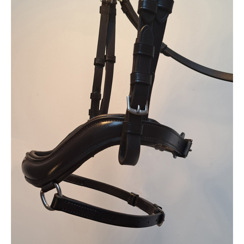 Ogłowie Anatomica