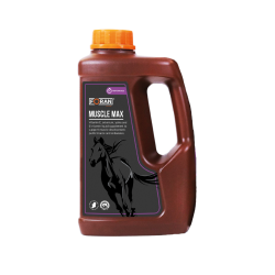 Muscle-Max preparat na mięśnie 1l
