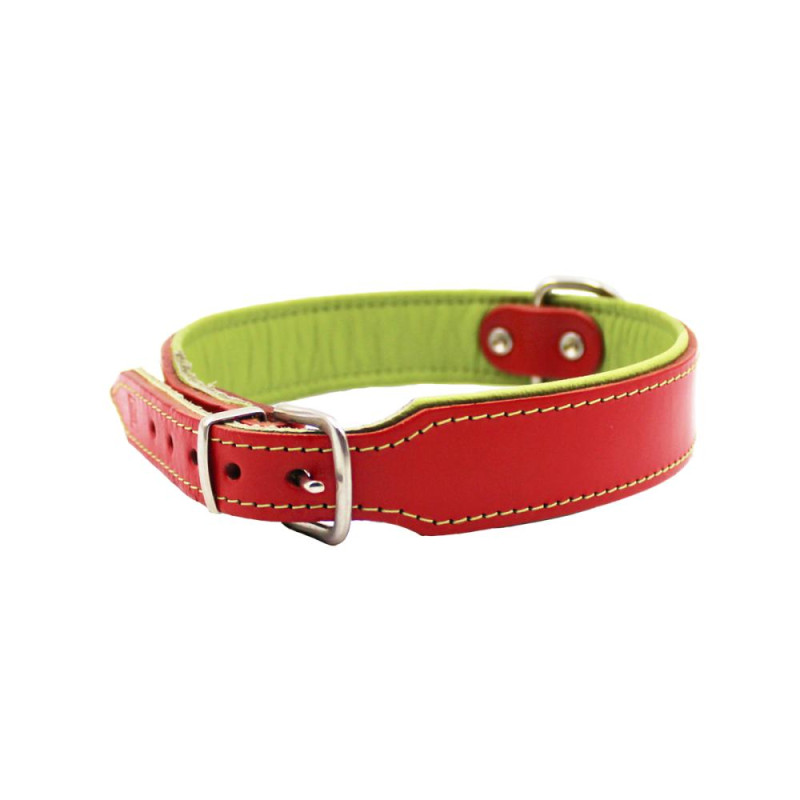 Obroża dla psa gładka Nappa nitowana 3/53,5cm czerwony/zielony