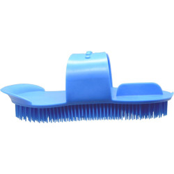 Iglak mały royal blue