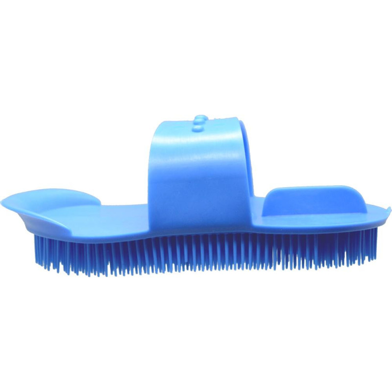 Iglak mały royal blue